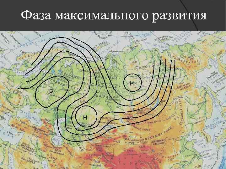 Фаза максимального развития Н В Н 