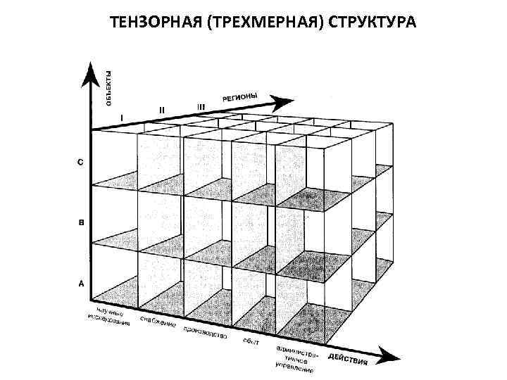 ТЕНЗОРНАЯ (ТРЕХМЕРНАЯ) СТРУКТУРА 