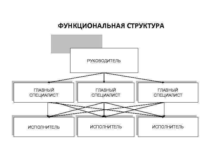 Состав руководства. Руководитель в функциональной структуре. Структура руководители специалисты исполнители. Тип структуры организации директор главный инженер.