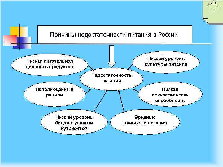 Причины недостаточности питания в России Низкий уровень культуры питания Низкая питательная ценность продуктов Недостаточность