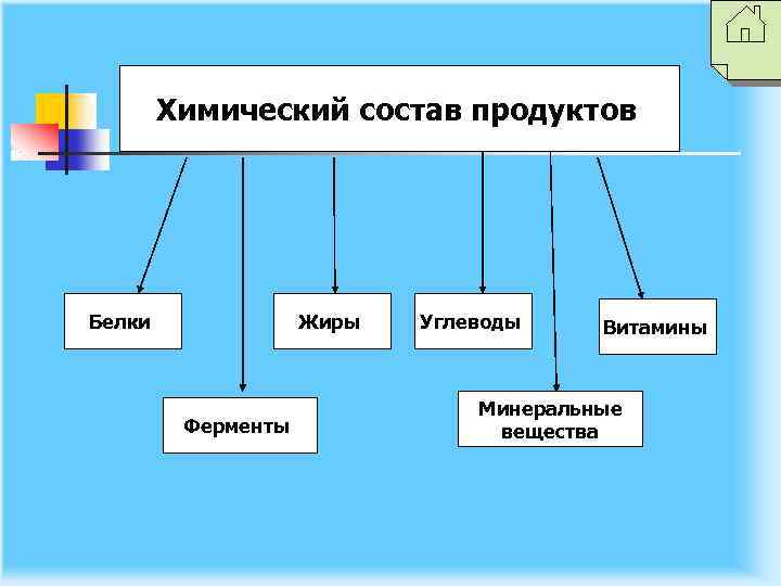 Химический состав продуктов Белки Жиры Ферменты Углеводы Витамины Минеральные вещества 