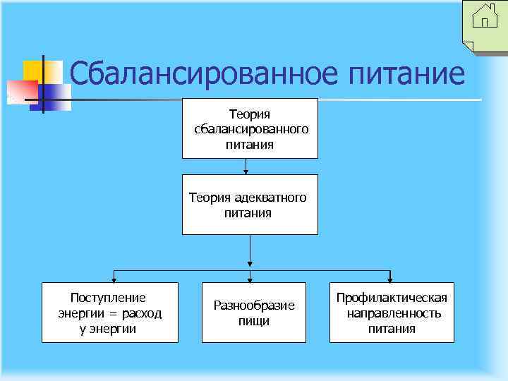 Сбалансированное питание Теория сбалансированного питания Теория адекватного питания Поступление энергии = расход у энергии