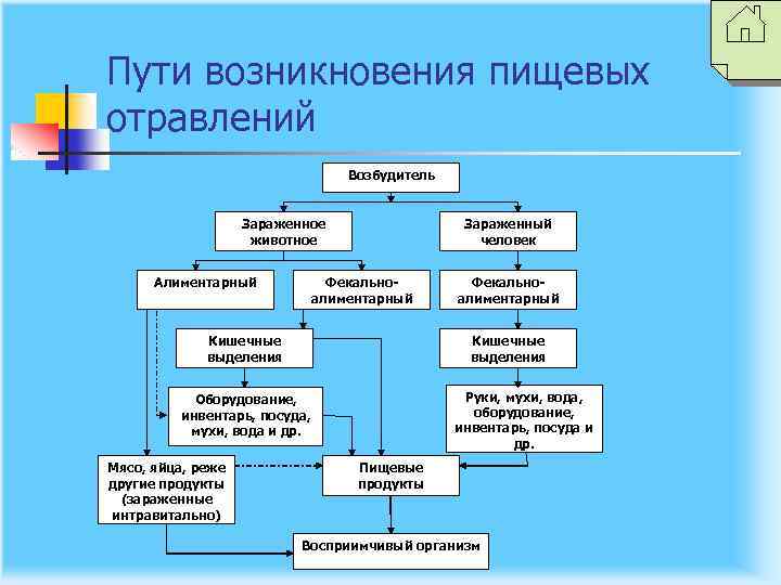 Пути возникновения пищевых отравлений Возбудитель Зараженное животное Алиментарный Зараженный человек Фекальноалиментарный Кишечные выделения Руки,