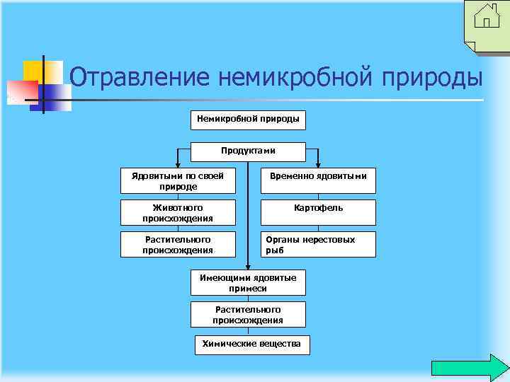 Отравление немикробной природы Немикробной природы Продуктами Ядовитыми по своей природе Временно ядовитыми Животного происхождения