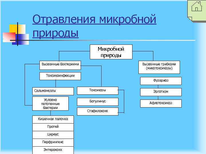 Отравления микробной природы Микробной природы Вызванные бактериями Вызванные грибками (микотоксикозы) Токсикоинфекции Фузариоз Сальмонеллы Условно