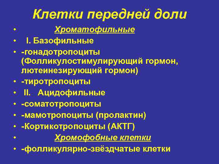 Клетки передней доли • Хроматофильные • І. Базофильные • -гонадотропоциты (Фолликулостимулирующий гормон, лютеинезирующий гормон)