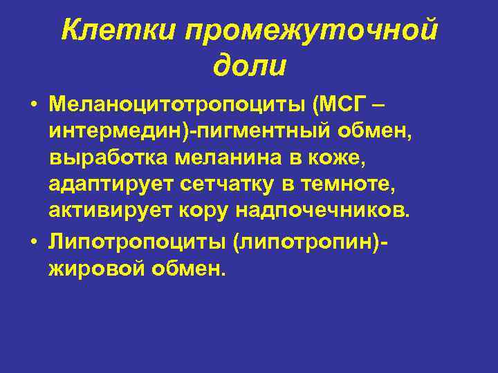 Клетки промежуточной доли • Меланоцитотропоциты (МСГ – интермедин)-пигментный обмен, выработка меланина в коже, адаптирует