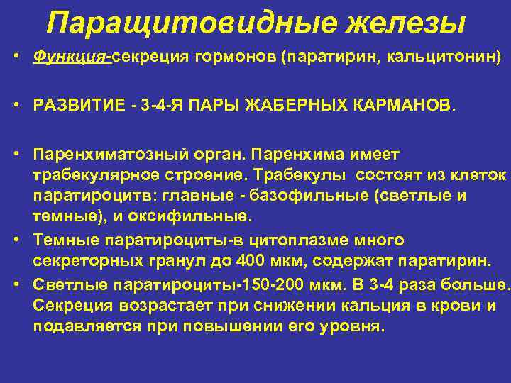 Паращитовидные железы • Функция-секреция гормонов (паратирин, кальцитонин) • РАЗВИТИЕ - 3 -4 -Я ПАРЫ