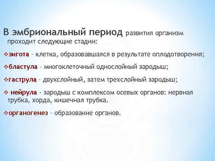В эмбриональный период развития организм проходит следующие стадии: vзигота – клетка, образовавшаяся в результате