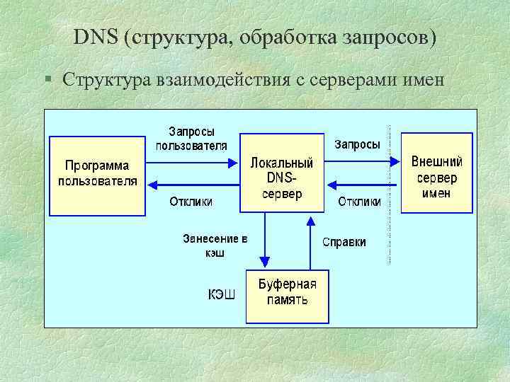 DNS (структура, обработка запросов) § Структура взаимодействия с серверами имен 