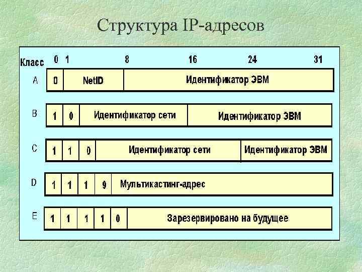 Структура IP-адресов 