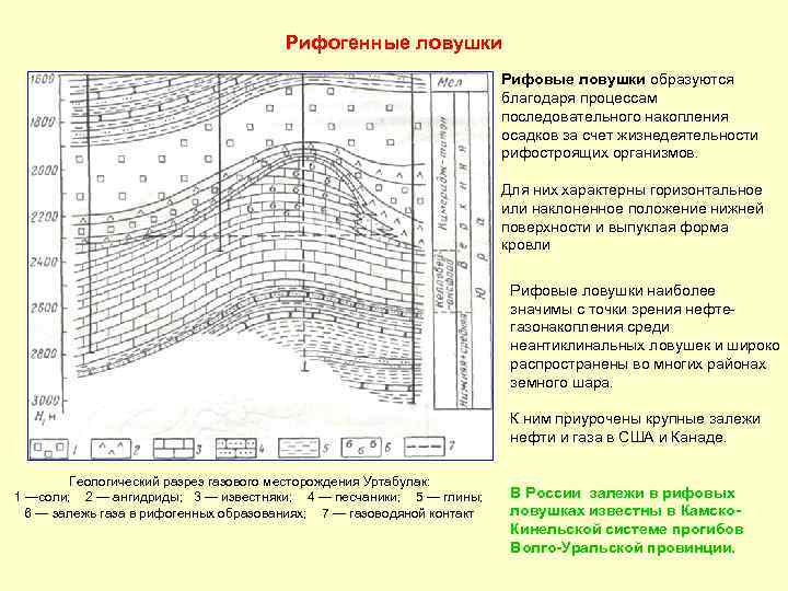 Рифогенные ловушки Рифовые ловушки образуются благодаря процессам последовательного накопления осадков за счет жизнедеятельности рифостроящих