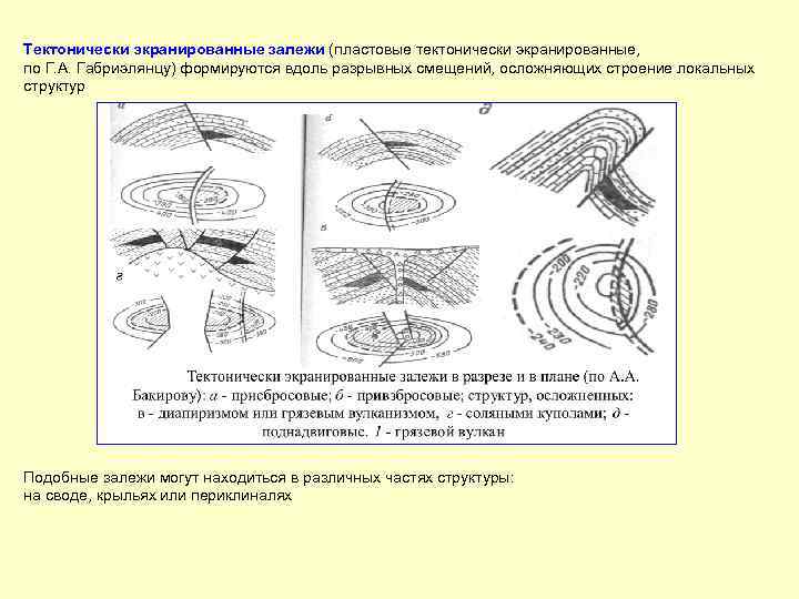 Тектонически экранированные залежи (пластовые тектонически экранированные, по Г. А. Габриэлянцу) формируются вдоль разрывных смещений,