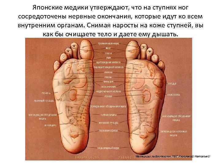 Горят ноги ступни у мужчин причины. Инфекции на подошве стопы. Нервные окончания на стопе ноги.