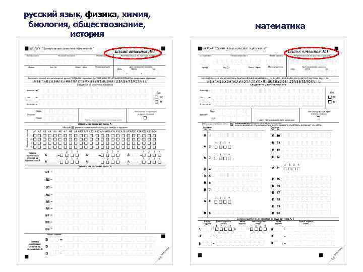 русский язык, физика, химия, биология, обществознание, история математика 