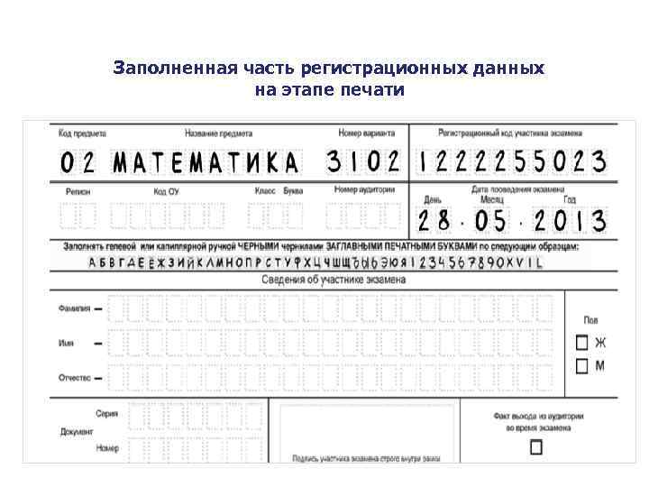 Заполненная часть регистрационных данных на этапе печати 