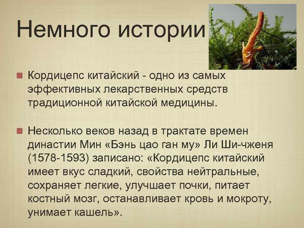 Немного истории Кордицепс китайский - одно из самых эффективных лекарственных средств традиционной китайской медицины.