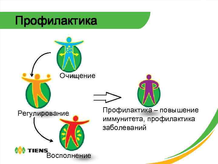Профилактика Очищение Регулирование Восполнение Профилактика – повышение иммунитета, профилактика заболеваний 
