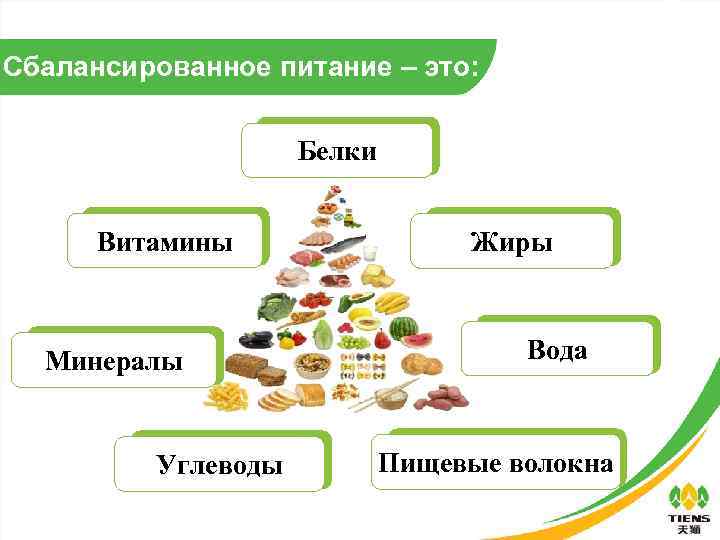 Сбалансированное питание – это: Белки Витамины Минералы Углеводы Жиры Вода Пищевые волокна 