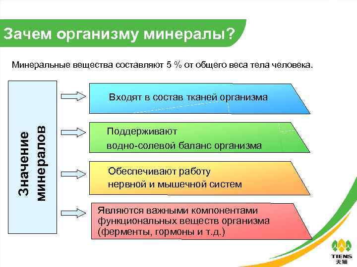 Зачем организму минералы? Минеральные вещества составляют 5 % от общего веса тела человека. Значение