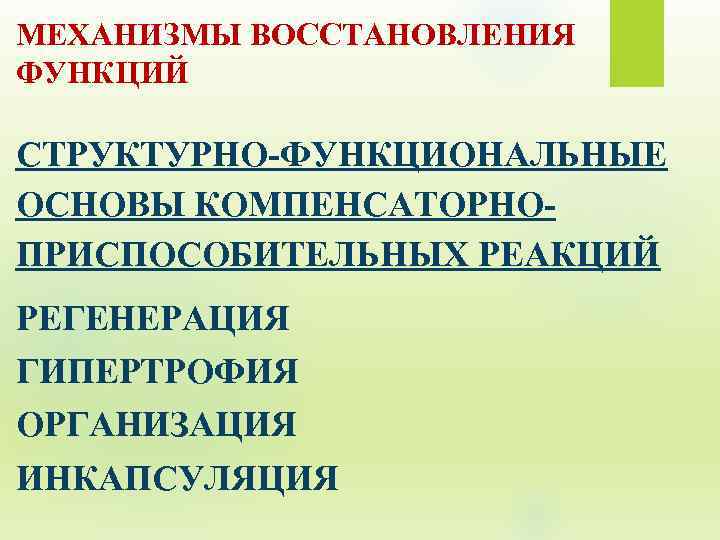 МЕХАНИЗМЫ ВОССТАНОВЛЕНИЯ ФУНКЦИЙ СТРУКТУРНО-ФУНКЦИОНАЛЬНЫЕ ОСНОВЫ КОМПЕНСАТОРНОПРИСПОСОБИТЕЛЬНЫХ РЕАКЦИЙ РЕГЕНЕРАЦИЯ ГИПЕРТРОФИЯ ОРГАНИЗАЦИЯ ИНКАПСУЛЯЦИЯ 