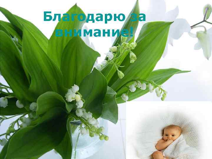 Благодарю за внимание! 