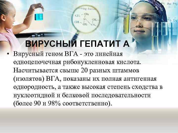 ВИРУСНЫЙ ГЕПАТИТ А • Вирусный геном ВГА - это линейная одноцепочечная рибонуклеиновая кислота. Насчитывается