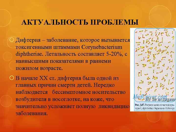 АКТУАЛЬНОСТЬ ПРОБЛЕМЫ Дифтерия – заболевание, которое вызывается токсигенными штаммами Corynebacterium diphtheriae. Летальность составляет 5