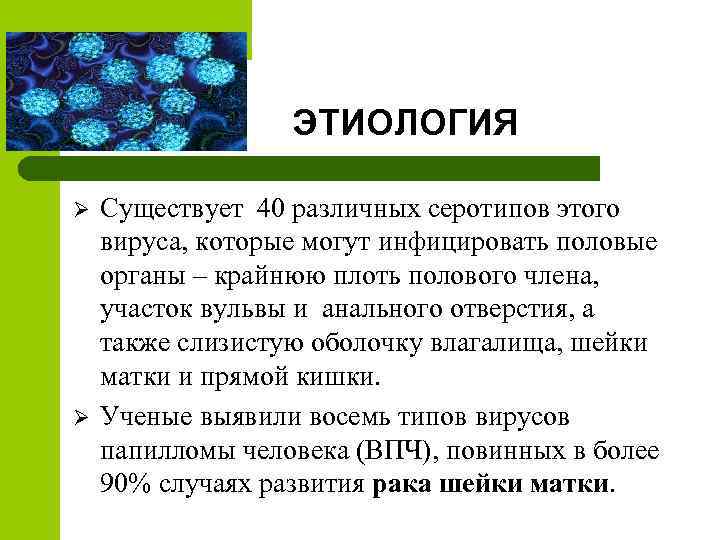 ЭТИОЛОГИЯ Ø Ø Существует 40 различных серотипов этого вируса, которые могут инфицировать половые органы