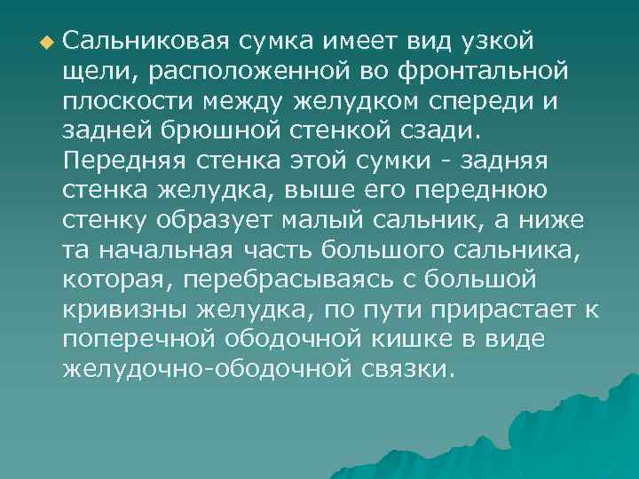 u Сальниковая сумка имеет вид узкой щели, расположенной во фронтальной плоскости между желудком спереди