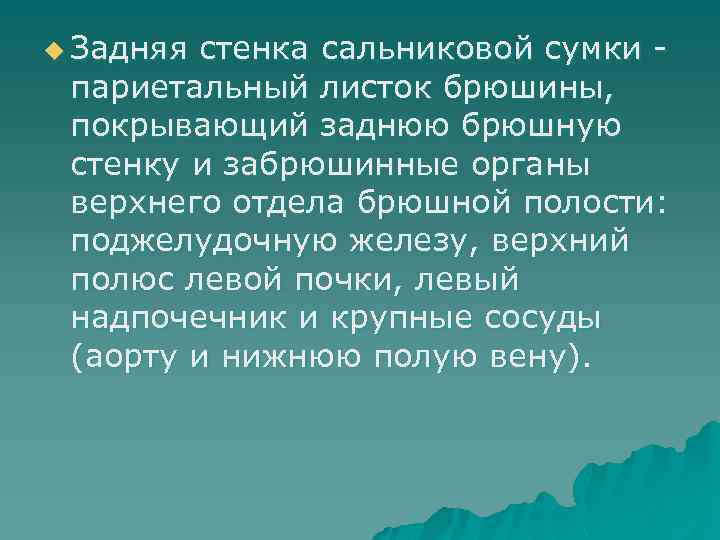 u Задняя стенка сальниковой сумки - париетальный листок брюшины, покрывающий заднюю брюшную стенку и