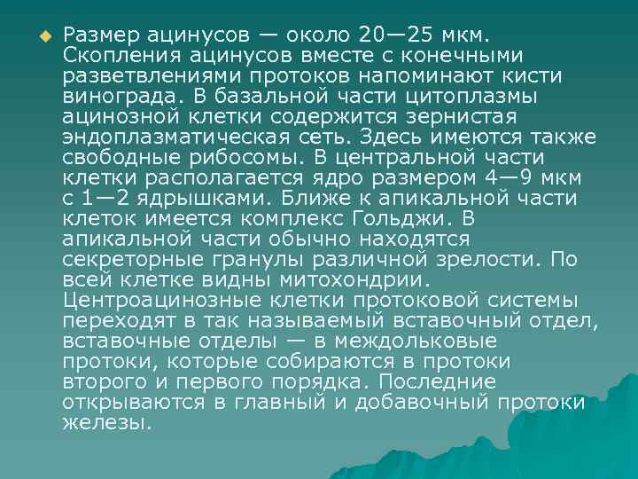 u Размер ацинусов — около 20— 25 мкм. Скопления ацинусов вместе с конечными разветвлениями