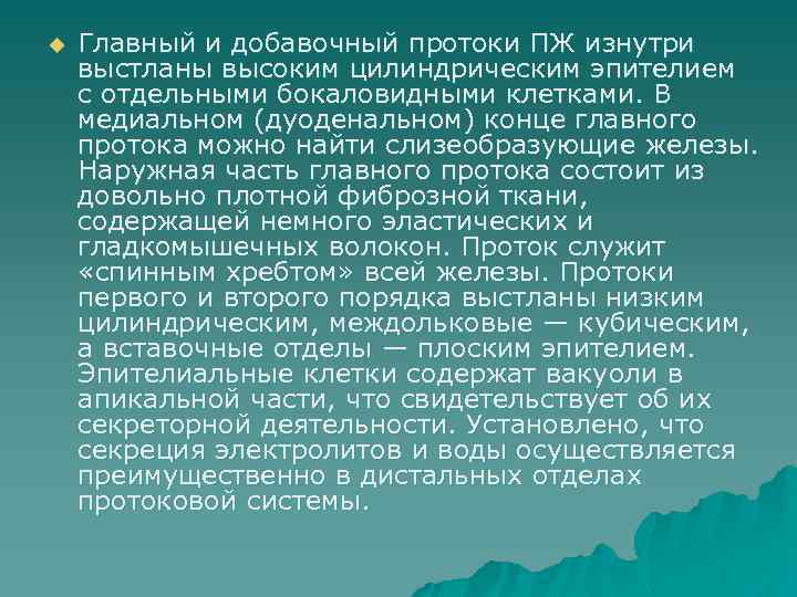 u Главный и добавочный протоки ПЖ изнутри выстланы высоким цилиндрическим эпителием с отдельными бокаловидными