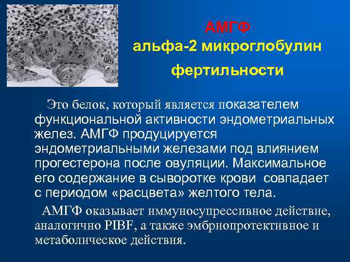  АМГФ альфа-2 микроглобулин фертильности Это белок, который является показателем функциональной активности эндометриальных желез.