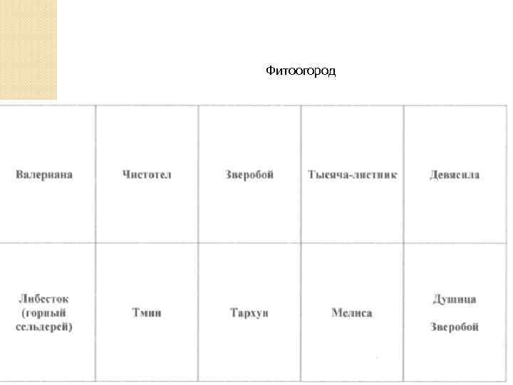 Фитоогород 