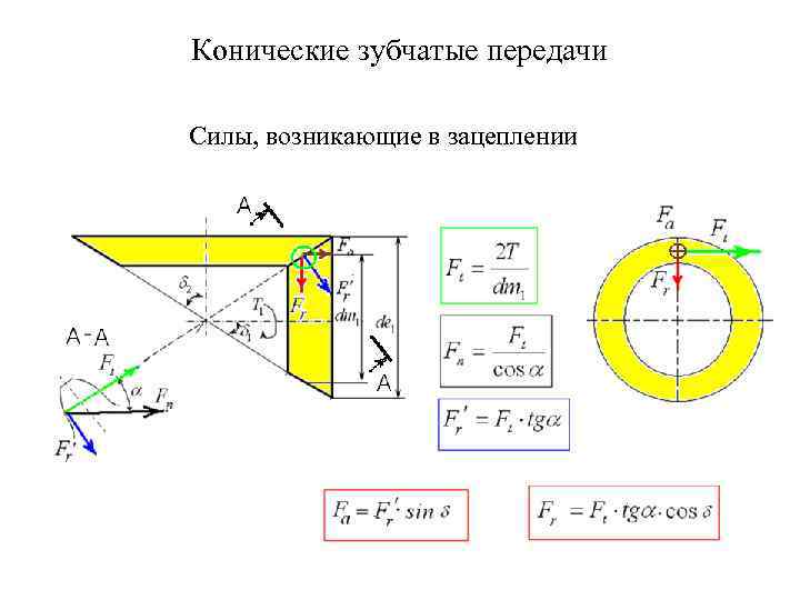 Осевые силы действующие на зубчатые колеса изображенного на рисунке редуктора воспринимают