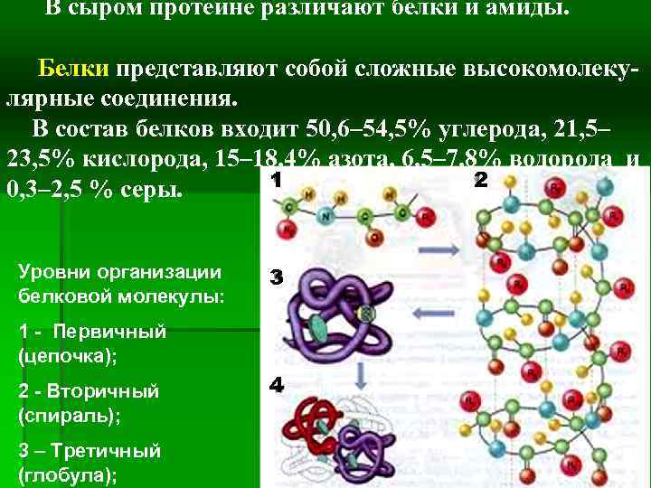 В сыром протеине различают белки и амиды. Белки представляют собой сложные высокомолекулярные соединения. В