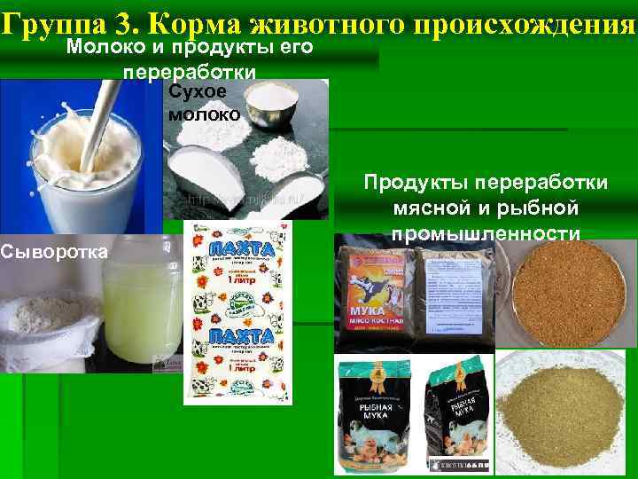 Группа 3. Корма животного происхождения Молоко и продукты его переработки Сыворотка Сухое молоко Продукты