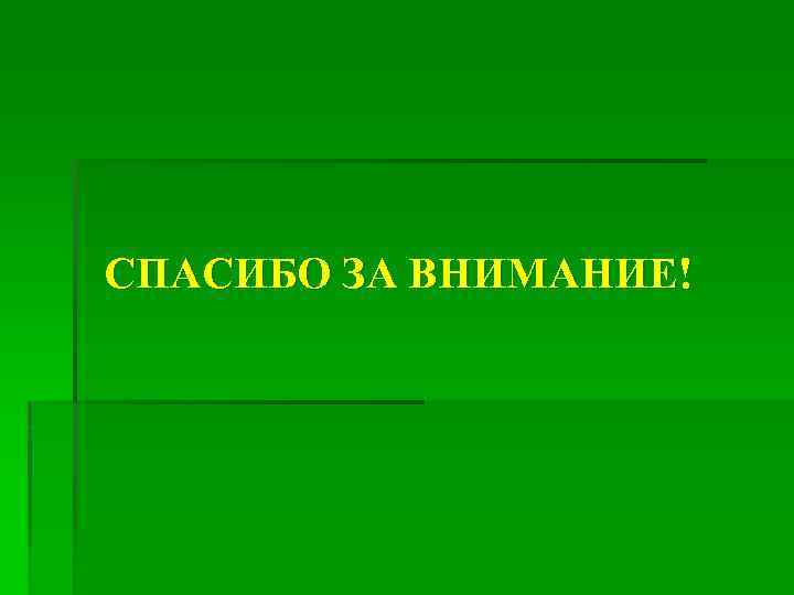 СПАСИБО ЗА ВНИМАНИЕ! 