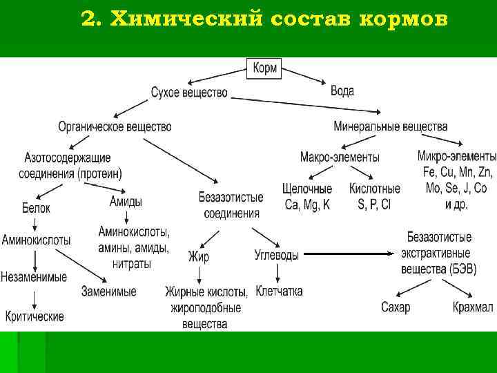 2. Химический состав кормов 