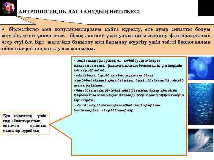 АНТРОПОГЕНДІК ЛАСТАНУДЫҢ НӘТИЖЕСІ • бірлестіктер мен популяциялардағы қайта құрылу, өте ауыр сипатты болуы мүмкін,