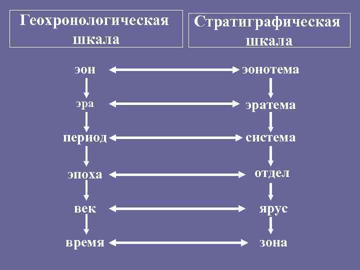 Геохронологическая шкала Стратиграфическая шкала эонотема эратема период система эпоха отдел век ярус время зона