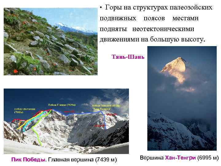  • Горы на структурах палеозойских подвижных поясов местами подняты неотектоническими движениями на большую
