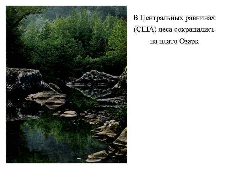 В Центральных равнинах (США) леса сохранились на плато Озарк 