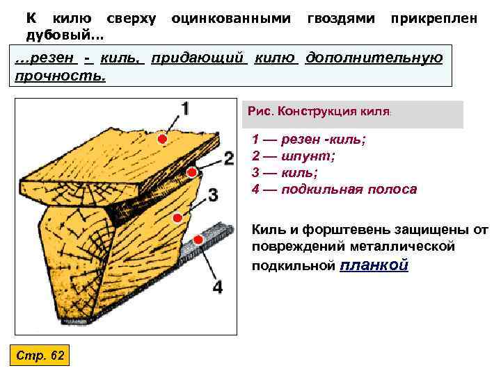 К килю сверху дубовый… оцинкованными гвоздями прикреплен …резен - киль, придающий килю дополнительную прочность.