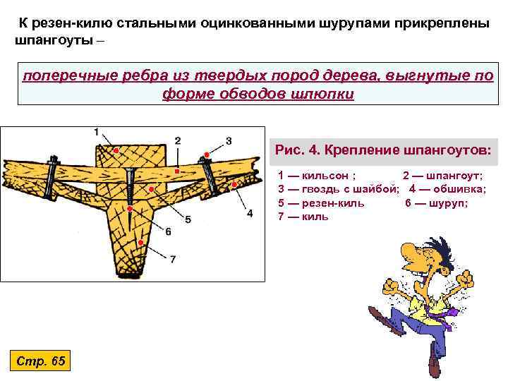 К резен-килю стальными оцинкованными шурупами прикреплены шпангоуты – поперечные ребра из твердых пород дерева,