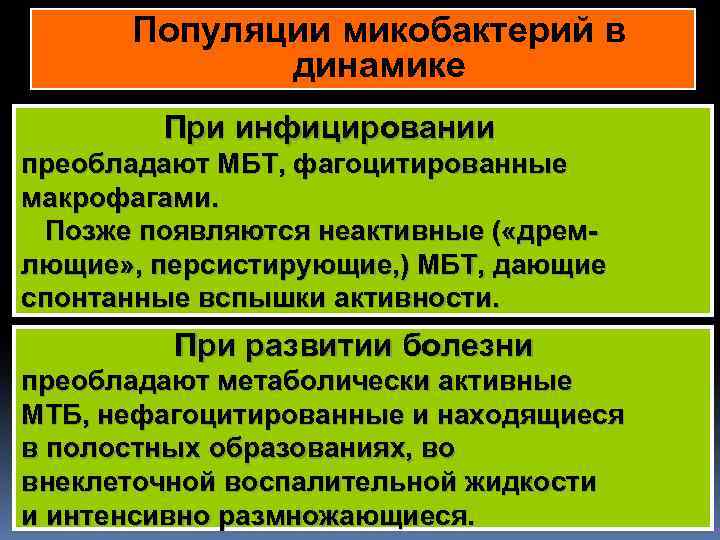 Популяции микобактерий в динамике При инфицировании преобладают МБТ, фагоцитированные макрофагами. Позже появляются неактивные (