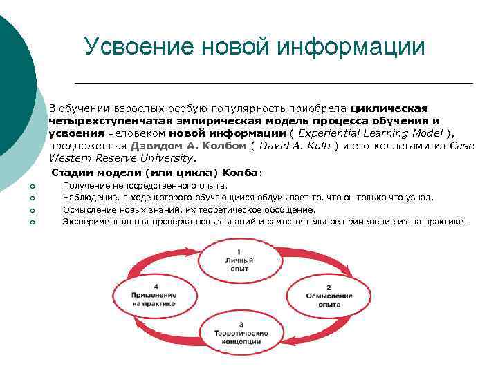 Усвоение новой информации В обучении взрослых особую популярность приобрела циклическая четырехступенчатая эмпирическая модель процесса