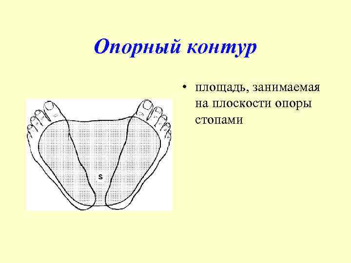Опорный контур • площадь, занимаемая на плоскости опоры стопами 