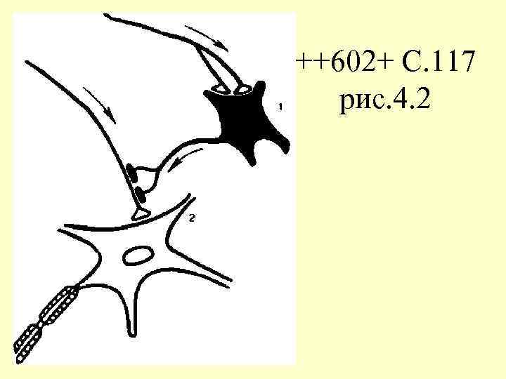 ++602+ С. 117 рис. 4. 2 